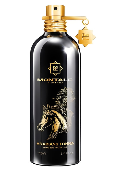 Arabians Tonka Montale